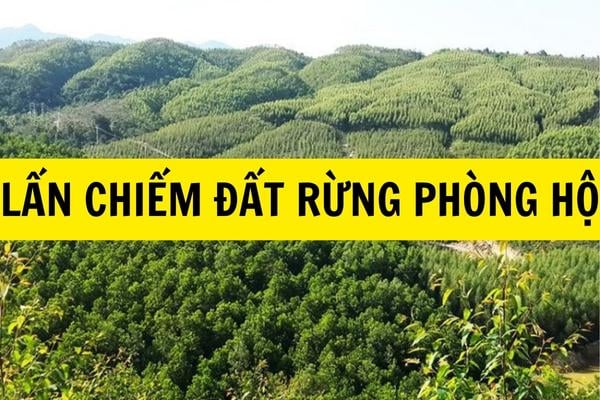 rung-phong-ho-2001-1 Việc xây nhà trên đất rừng phòng hộ bị phạt lên tới 500 triệu đồng