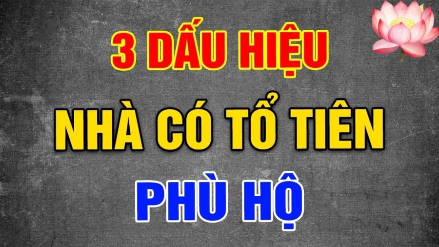 to-tien2-1556 3 dấu hiệu nhà có Tổ Tiên phù hộ, con cháu Phúc Dày Lộc Tới, sắp Đổi Vận Giàu To