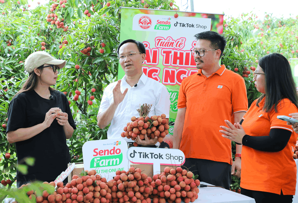 article Bắc Giang: Phát động Tuần lễ vải thiều Lục Ngạn - Tự hào nông sản Việt - Chi tiết tin tức - Chuyên trang An toàn giao thông tỉnh Bắc Giang