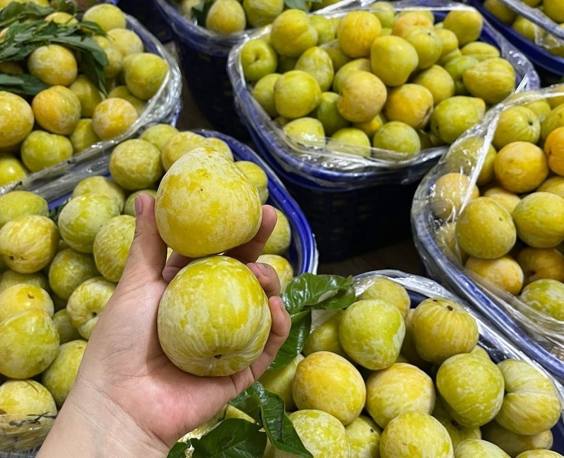 choang-vang-voi-loai-man-la-tu-trung-quoc-gia-tren-troi-450-000d-kg-khach-van-tranh-nhau-chot-don-dspl-1-09171998-1751944510991-17519445111721249435864 Choáng váng với loại mận lạ mắt từ Trung Quốc giá "trên trời" 450.000đ/kg, khách vẫn tranh nhau "chốt đơn"- Ảnh 2.