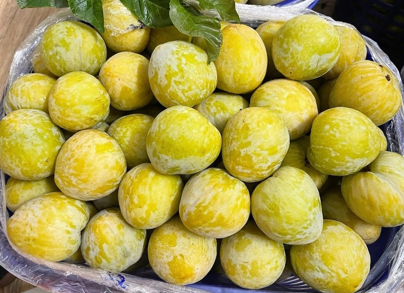 choang-vang-voi-loai-man-la-tu-trung-quoc-gia-tren-troi-450-000d-kg-khach-van-tranh-nhau-chot-don-dspl-2-09161312-1751944509911-17519445101901524640771 Choáng váng với loại mận lạ mắt từ Trung Quốc giá "trên trời" 450.000đ/kg, khách vẫn tranh nhau "chốt đơn"- Ảnh 1.