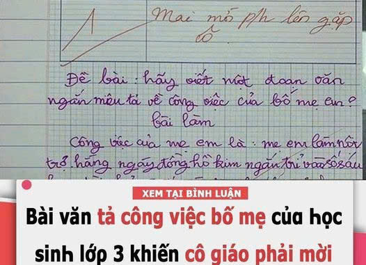 Bài văn tiểu học tả việc bố mẹ làm ở nhà làm cô giáo mời phụ huynh lên gấp