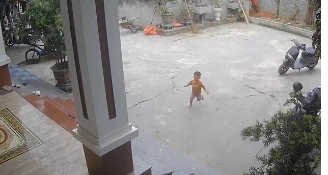 bo nuoi ke chuyen be trai gan 3 tuoi biet goi nguoi lon cuu ban duoi nuoc hinh anh 1