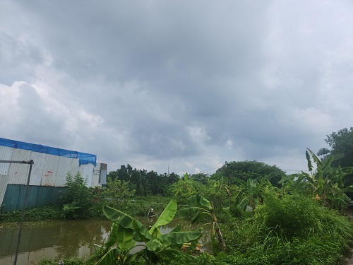 Đầu tư đất nông nghiệp chờ đền bù. Ảnh: Minh Hạnh