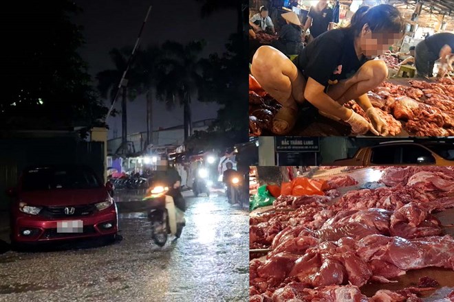lon-benh-36-1 Những con lợn không thể đứng vững, da sần sùi tím tái và bí mật sau những thớ thịt đỏ au
