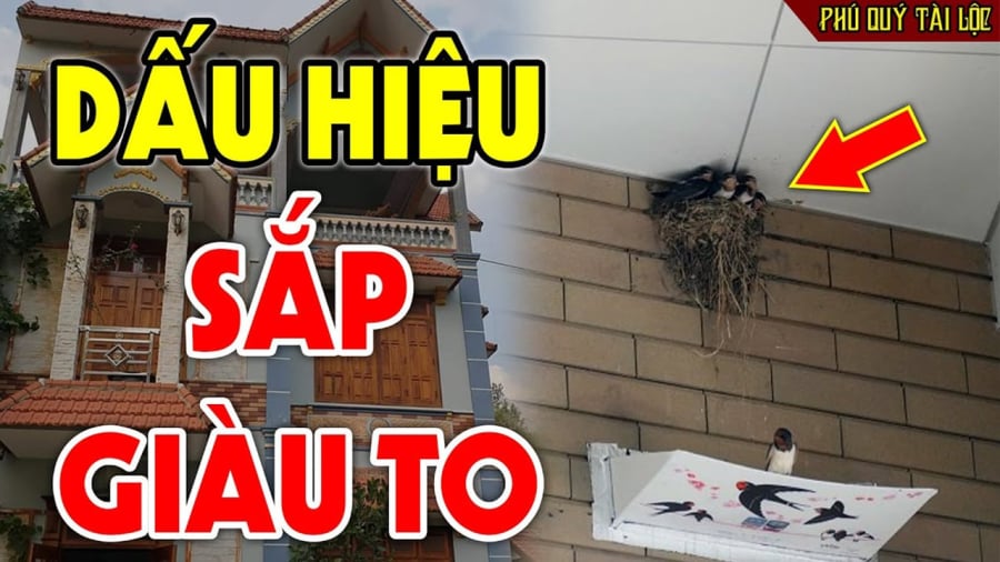 Dấu hiệu may mắn