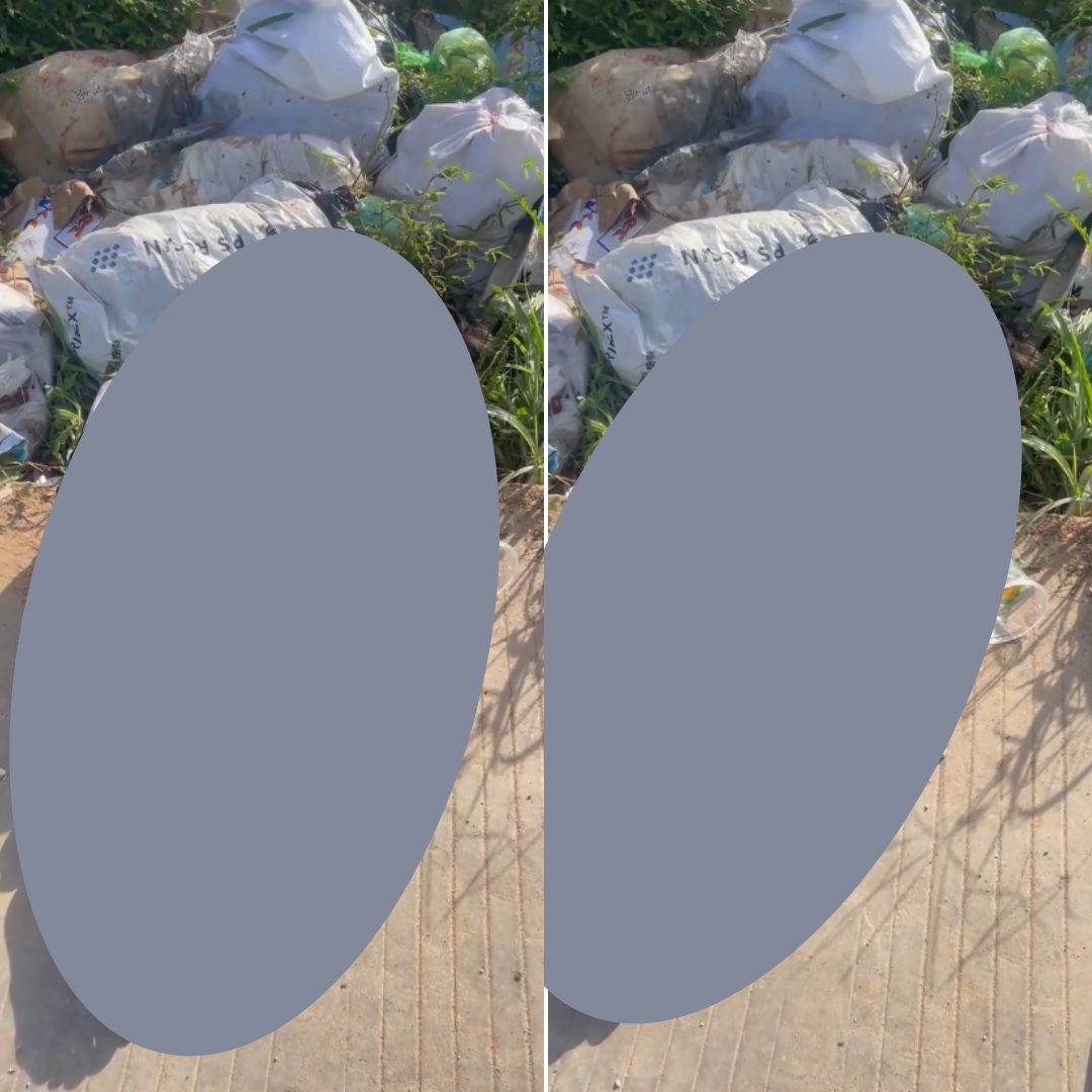 555871382_1213883760785651_7107377713529194646_n Không có mô tả ảnh.