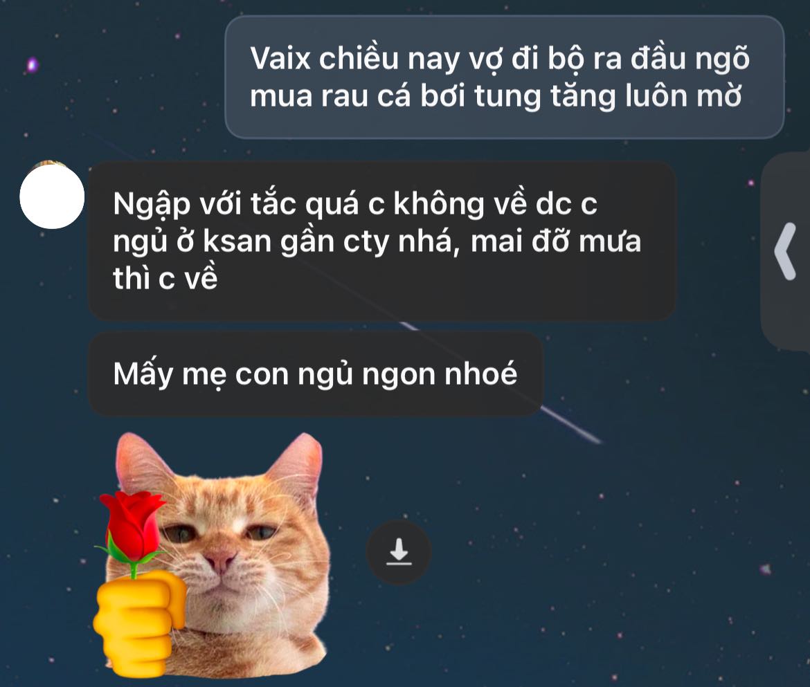 Có thể là hình ảnh về văn bản cho biết 'Vaix chiều nay vợ đi bộ ra đầu mua rau cá bơi tung tăng luôn mờ Ngập với tắc quá c không về dc c ngủ ở ksan gần cty nhá, mai đỡ mưa thì c về Mấy me con ngủ ngon nhoé'