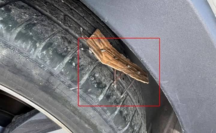 Không có mô tả ảnh.