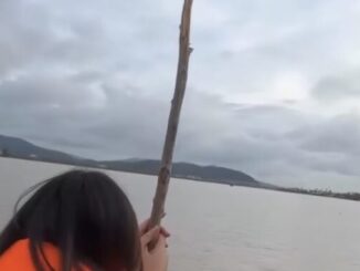 Vụ nghi bố ôm 2 con nhảy cầu ở Nghệ An: Diễn biến mới nhất về công tác tìm kiếm nạn nhân- Ảnh 1.