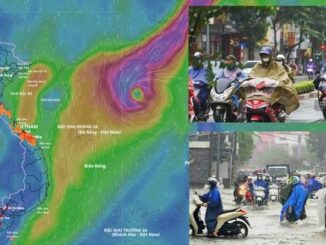 Dự báo 5 tỉnh mưa to nhất do bão số 12 và không khí lạnh dồn dập sắp tới