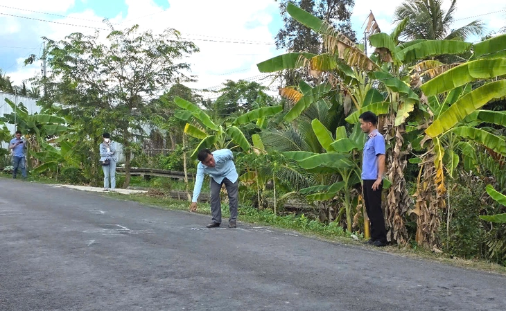 Vĩnh Long - Ảnh 1.