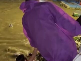 be-trai-troi-dat-song-han-2