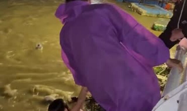 be-trai-troi-dat-song-han-2