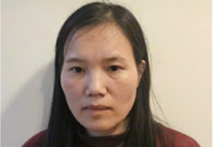 Bị can Trần Thị Hoàn.