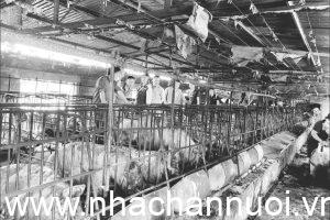 chay-trai-lon-28-10-300x200-1