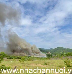 chay-trai-lon-o-quang-ninh-292x300-2