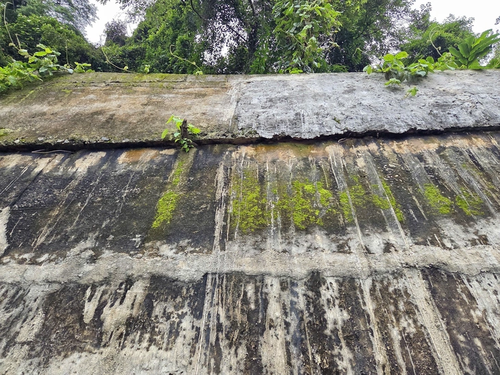 Măng Đen - Ảnh 2.