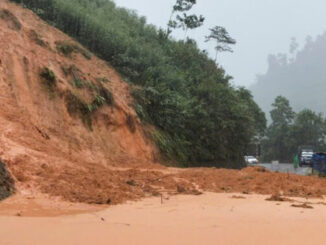 Đà Nẵng đang mưa to và rất to, sơ tán hàng trăm hộ dân ở các vùng sạt lở, ngập sâu- Ảnh 1.