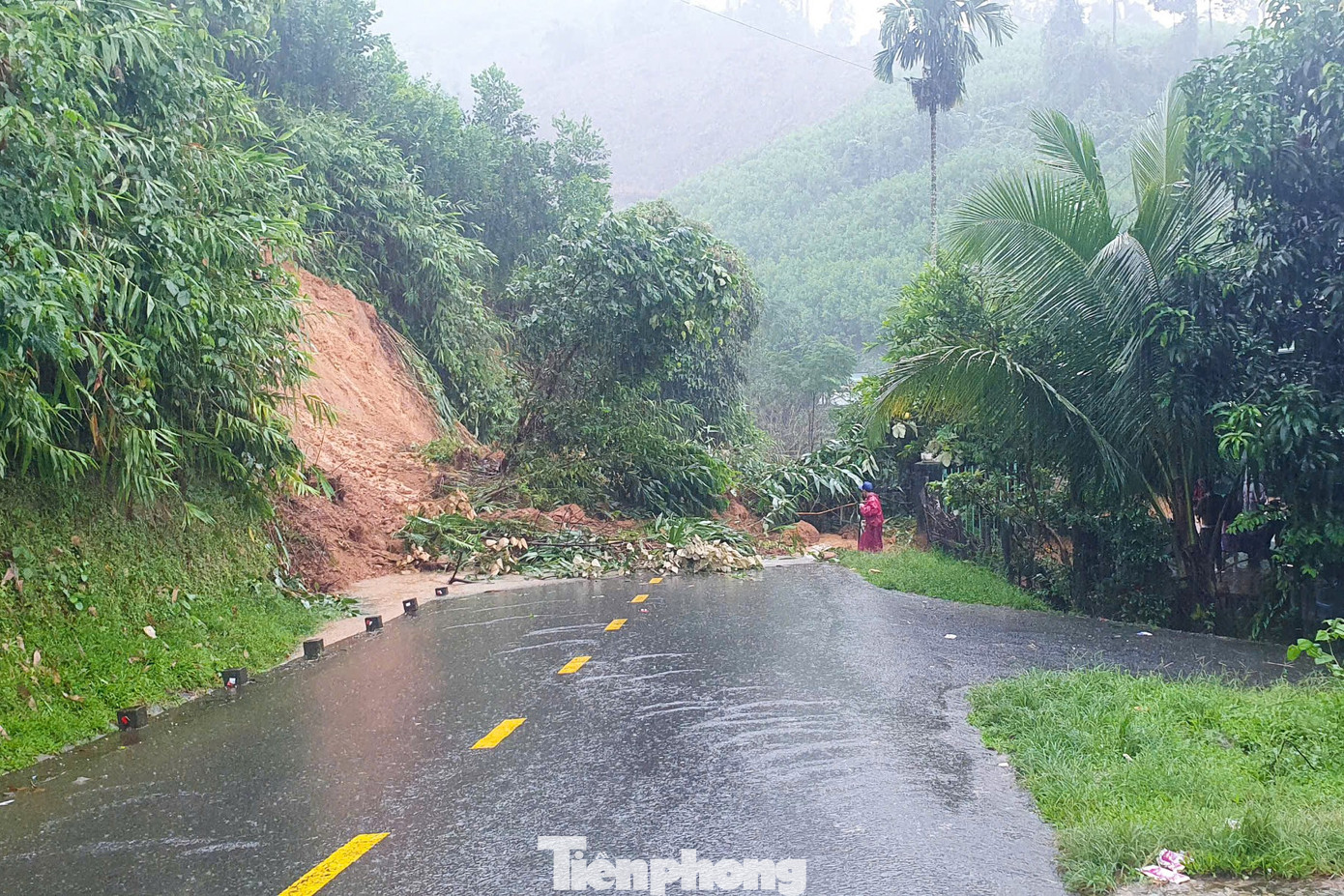 Đà Nẵng đang mưa to và rất to, sơ tán hàng trăm hộ dân ở các vùng sạt lở, ngập sâu- Ảnh 2. Đà Nẵng đang mưa to và rất to, sơ tán hàng trăm hộ dân ở các vùng sạt lở, ngập sâu- Ảnh 2.